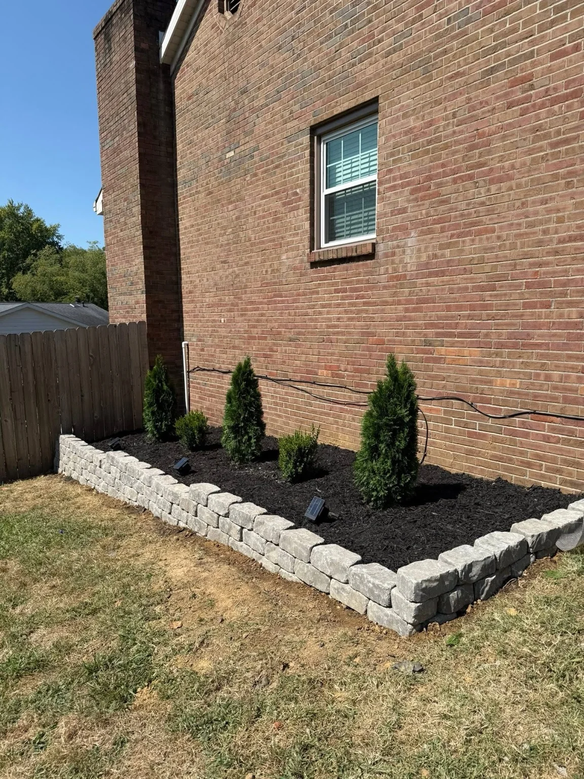Landscaping with evergreen shrubs, black mulch, and a gray stone border